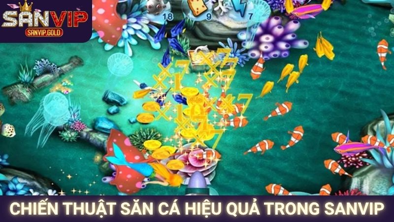 Chiến thuật săn cá hiệu quả trong SANVIP